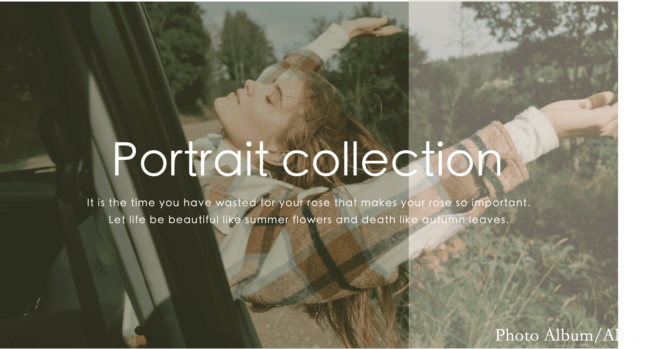 Portrait collection